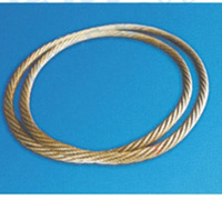 鋼絲繩無(wú)極環(huán)形索具